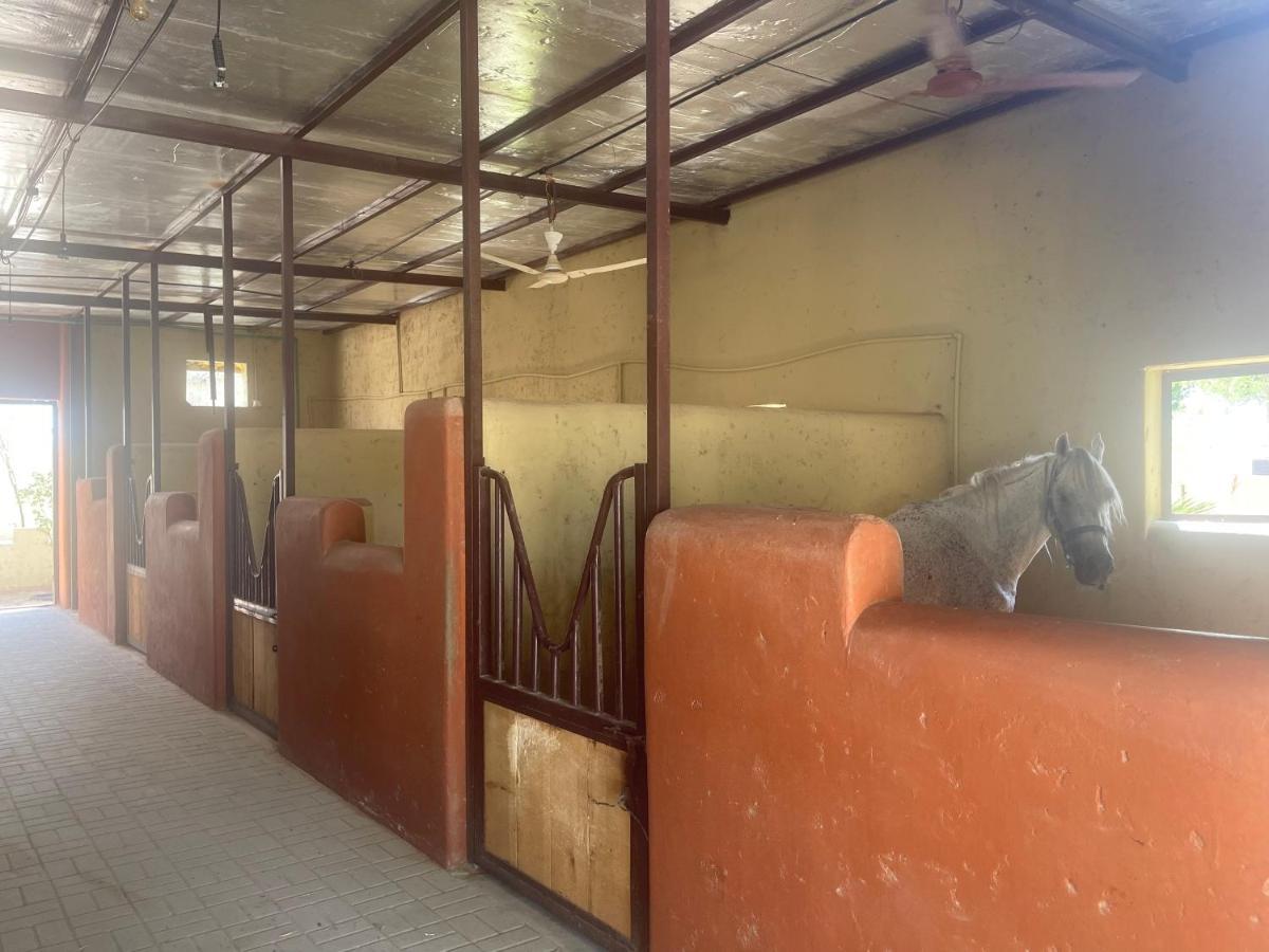 Al Bait Resort With Private Swimming Pools -Hrs Stables Al Hamraniyah Екстер'єр фото