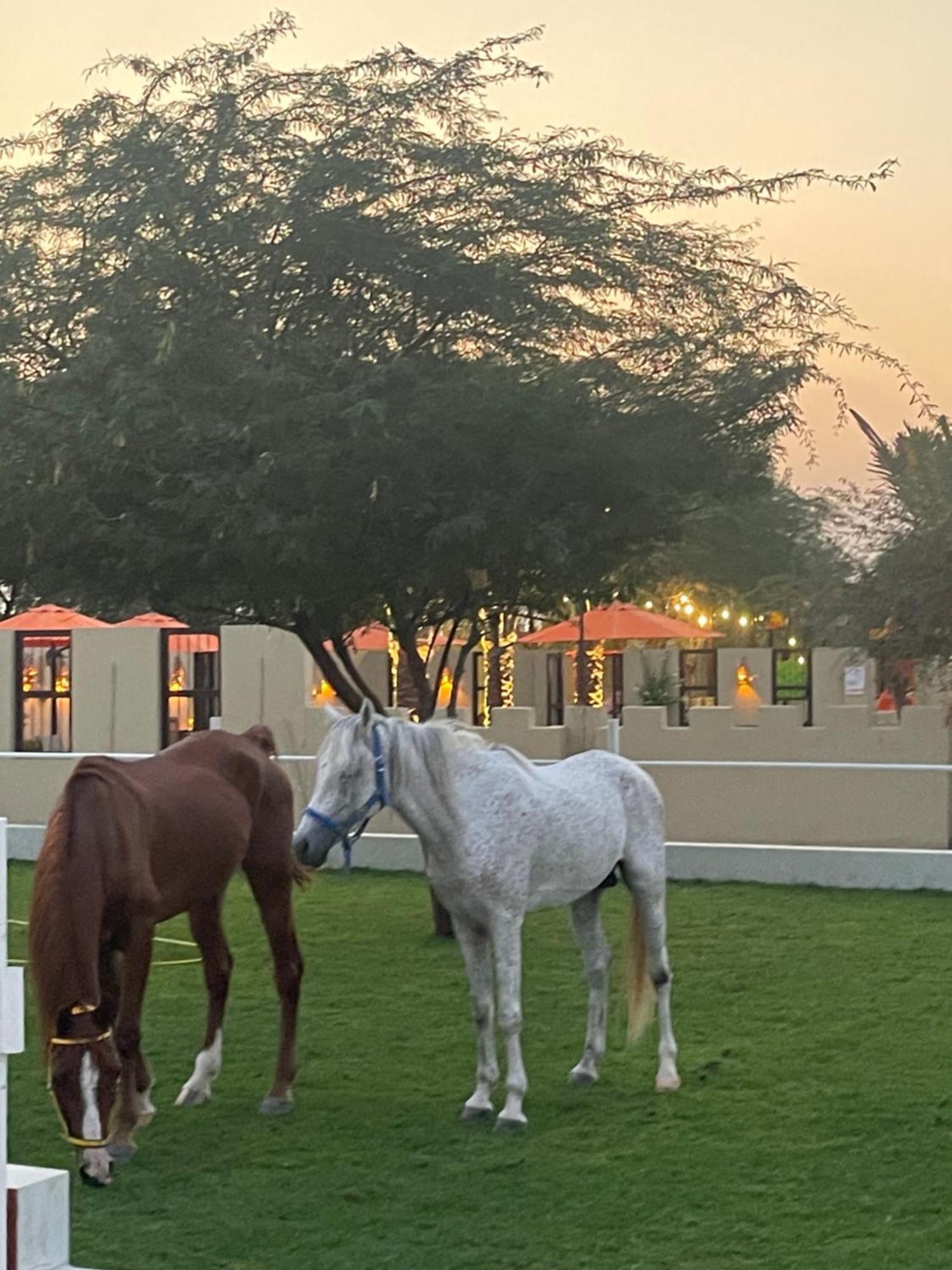 Al Bait Resort With Private Swimming Pools -Hrs Stables Al Hamraniyah Екстер'єр фото